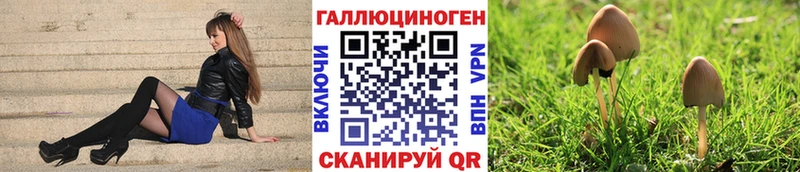 мега зеркало  наркотики  Кораблино  Галлюциногенные грибы MAGIC MUSHROOMS 